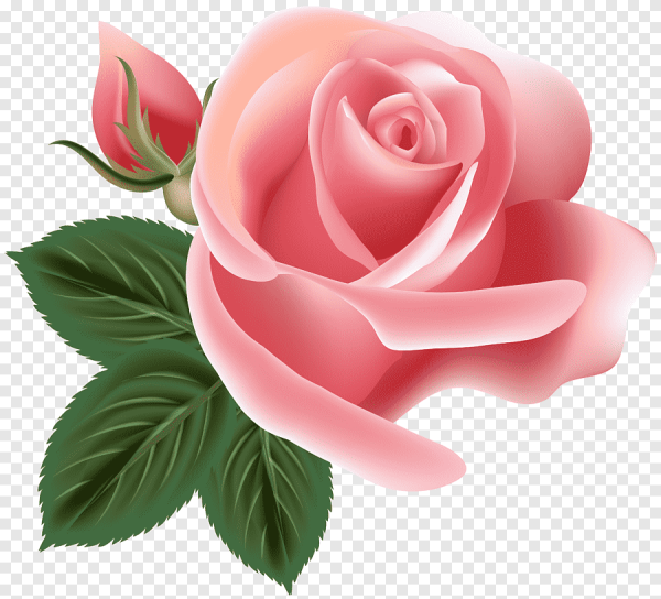 Силуэт цветов на прозрачном фоне