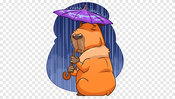 Капибара Стикеры