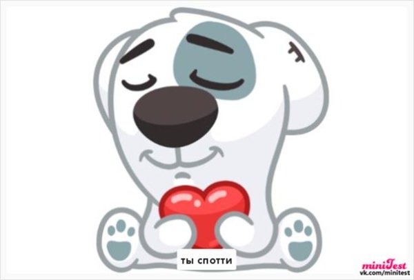 Спотти и кот