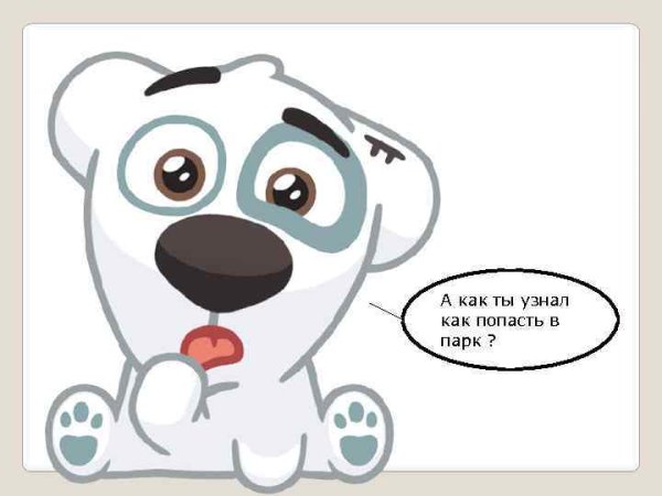 Марко Спотти