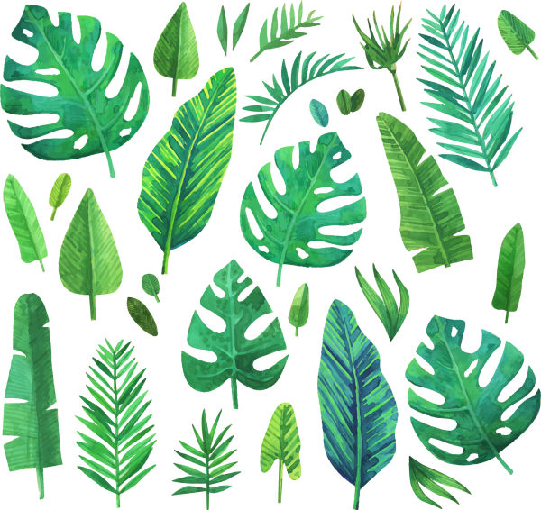 Листья тропических растений