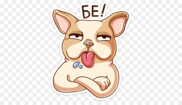 Смешные Стикеры