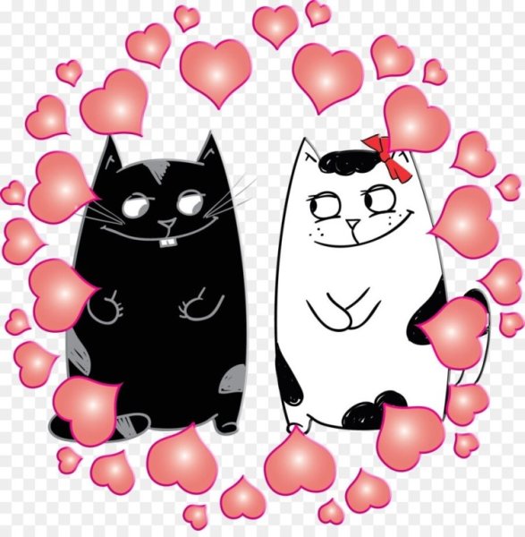 Влюбленные котики