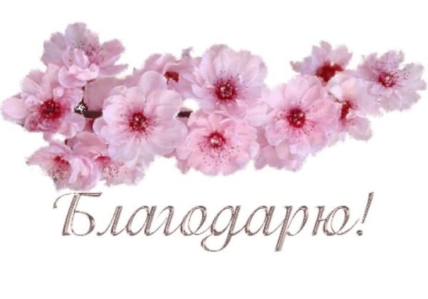 Благодарю на прозрачном фоне