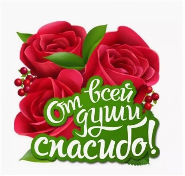 Стикер спасибо большое женщине