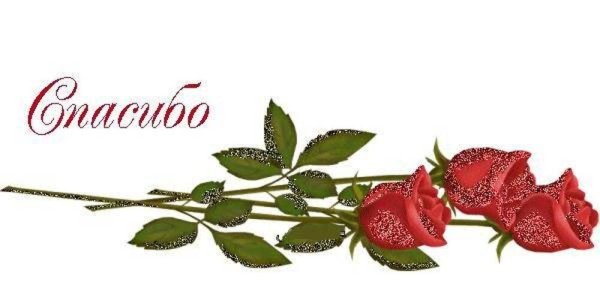 Спасибо на фоне роз