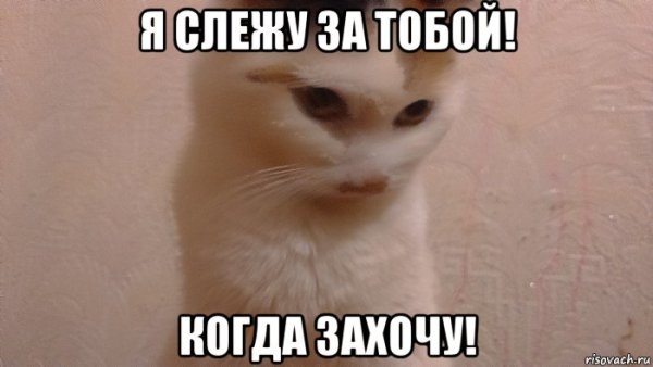 Я Слежу за тобой