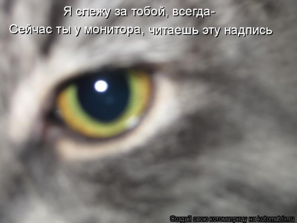 Я Слежу за тобой