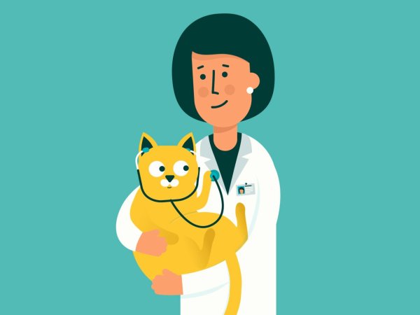 Рисунок выздоравливай скорее