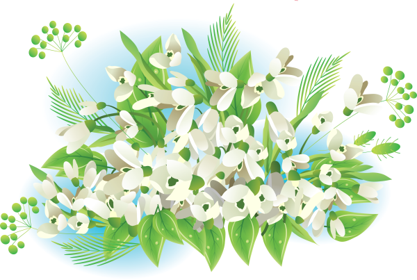 Подснежники вектор
