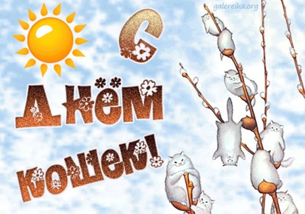 Международный день кошек