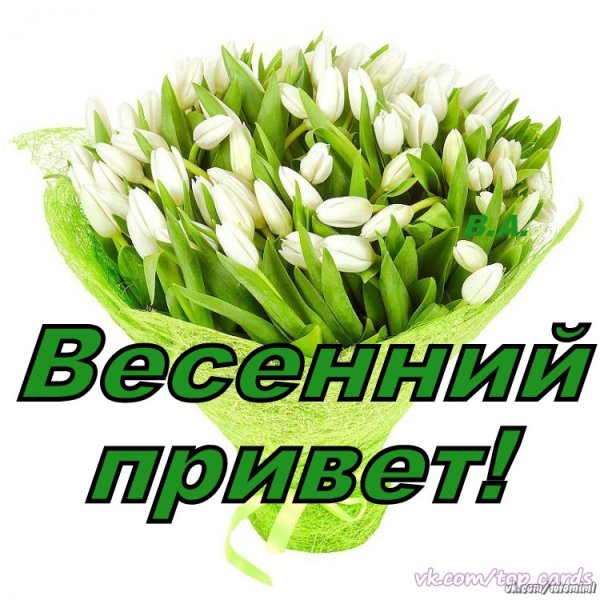 Весенний привет открытки