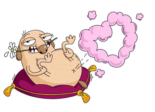 Дигги Стикеры