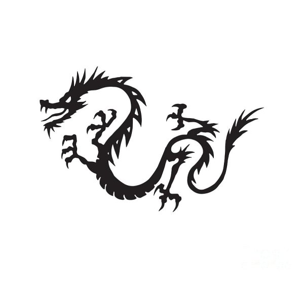 Чёрный китайский дракон на болом фоне