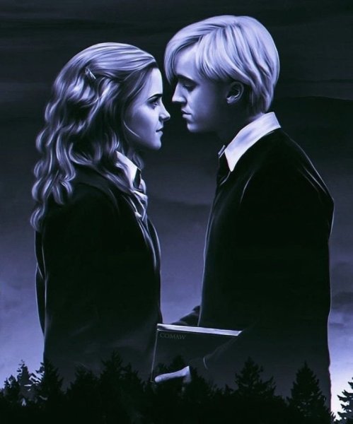 Гарри Рон и Гермиона Чиби