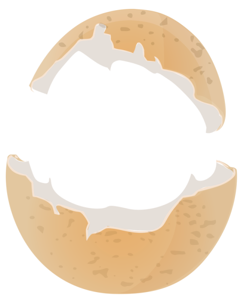 Яйцо для фотошопа