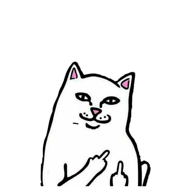 Котик показывает 4