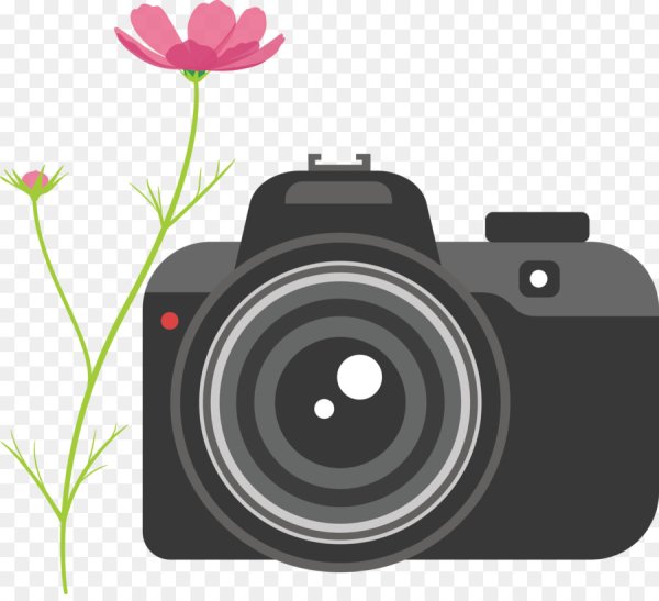 Фотоаппарат наклейка