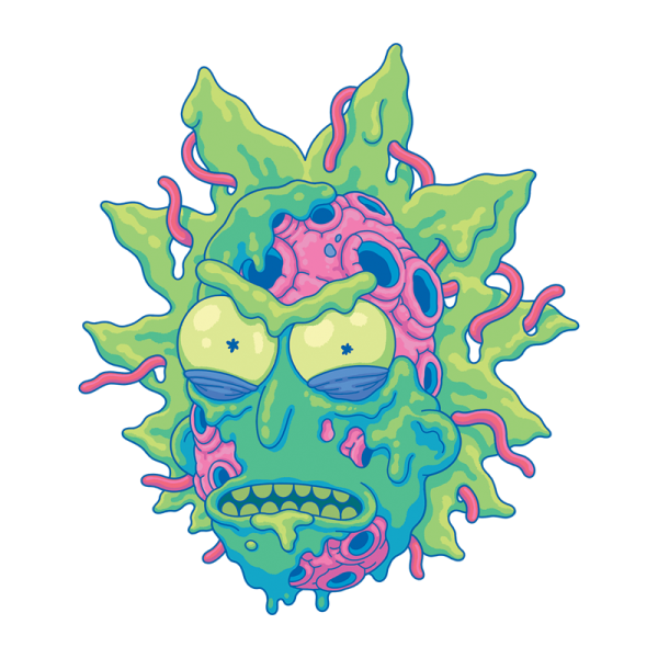 Рик и Морти адидас