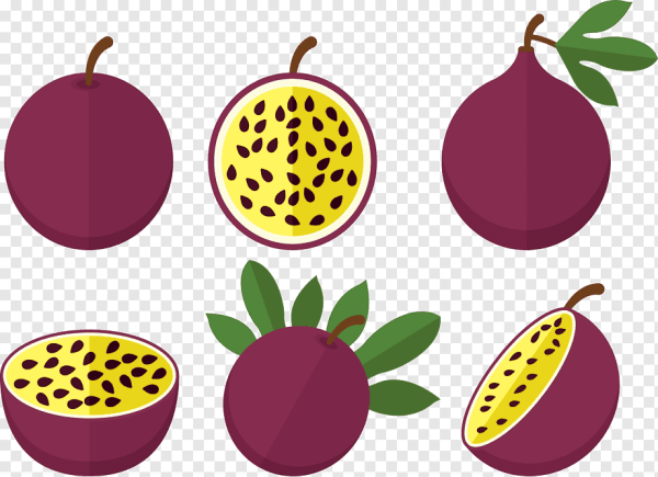 Манго маракуйя вектор