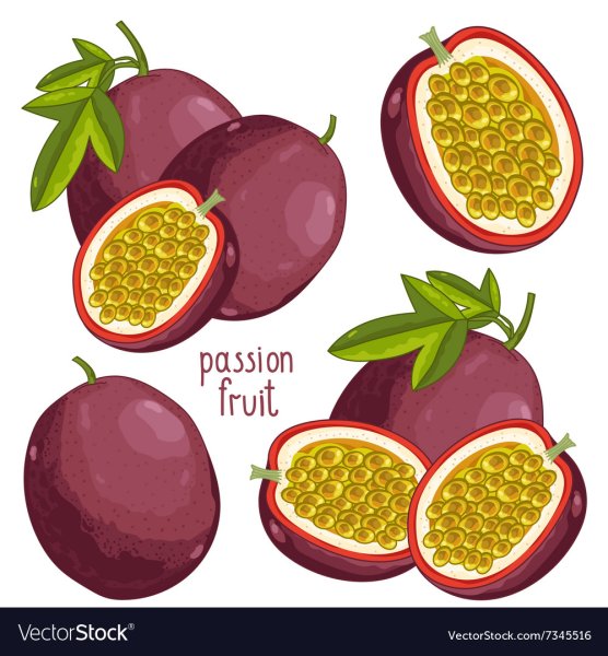 Маракуйя фрукт вектор