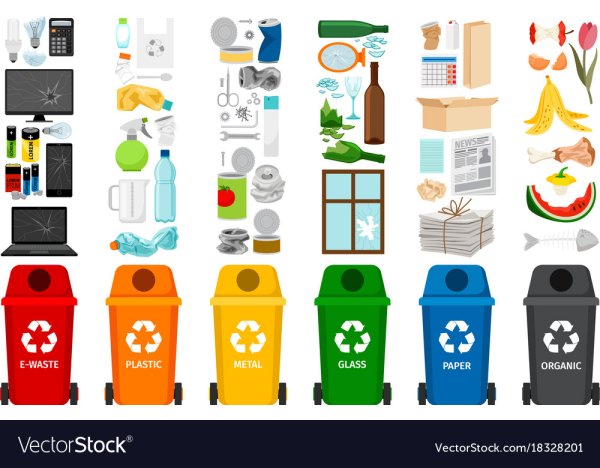 Сортировка мусора для детей