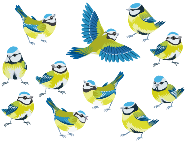 Синицы мультяшные