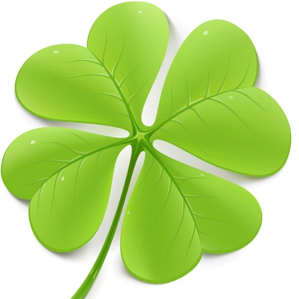 Клевер четырехлистник