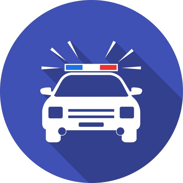 ДПС логотип