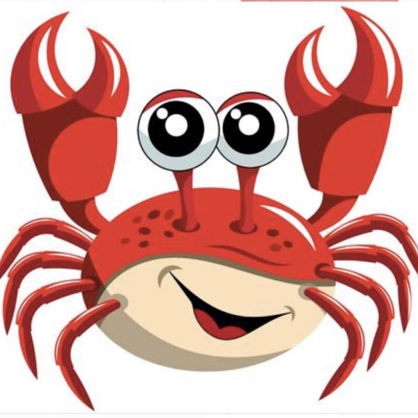 Камчатский краб на прозрачном фоне