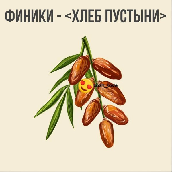 Финики мультяшные