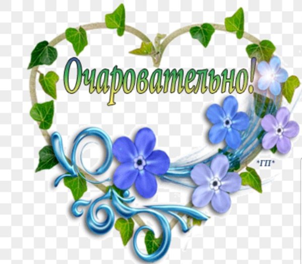 Открытки я в восторге спасибо