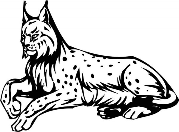 Рысь стикер