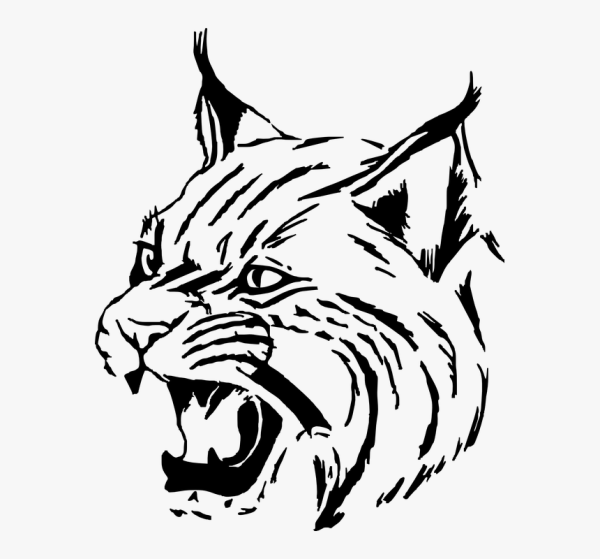 Рысь символ