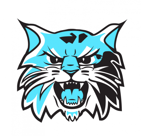 Уральские рыси реж