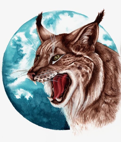 Рысь для детей