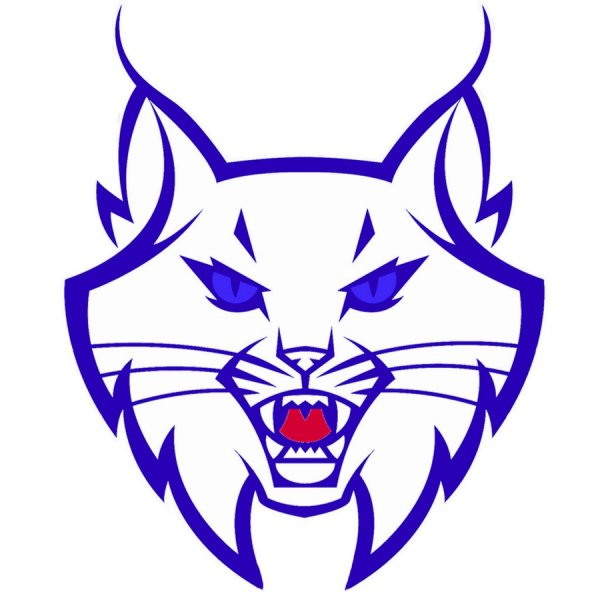 Голова кошки силуэт