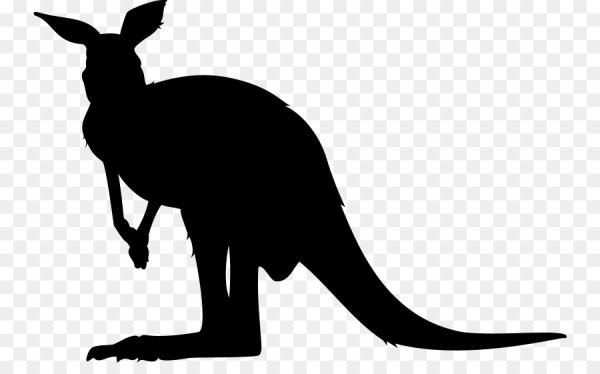 Силуэты животных кенгуру