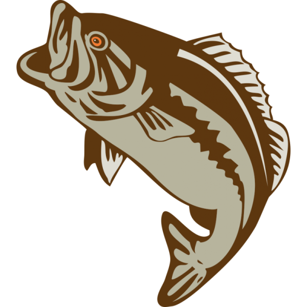 Рыбные наклейки