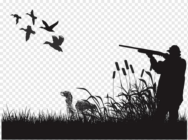 Давай за нас