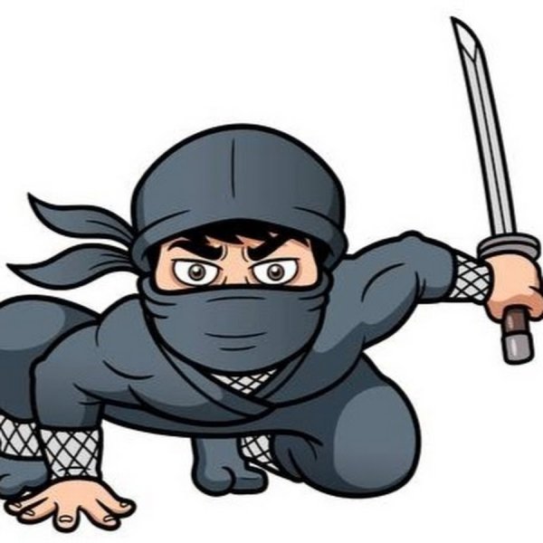Ниндзя в мультяшном виде