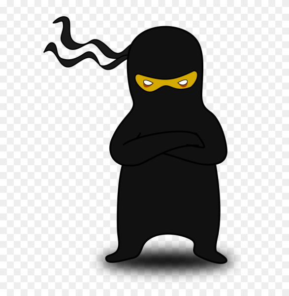 Ниндзя слово