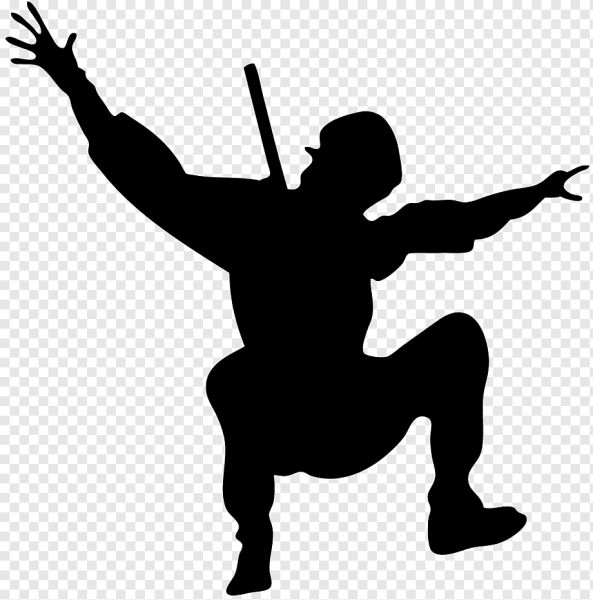 Векторный ниндзя