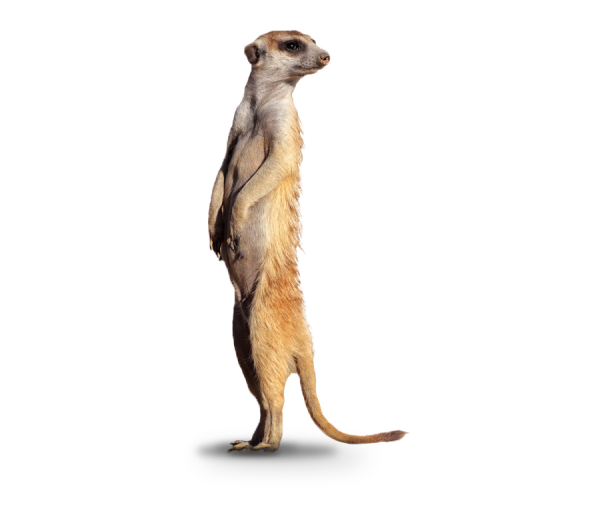 Суслик мультяшный