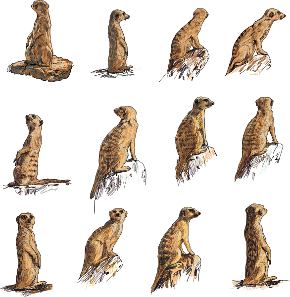 Сурок мультяшный