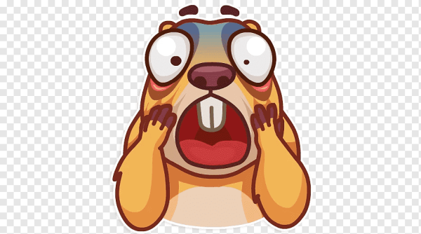 Тень суслика