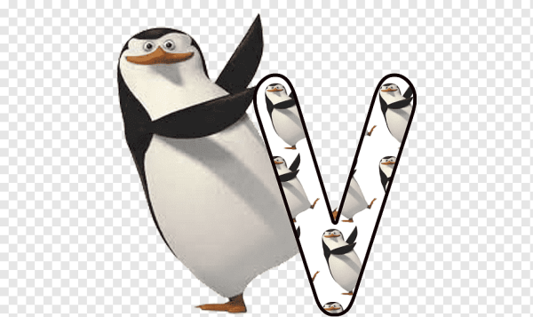 Пингвины из Мадагаскара