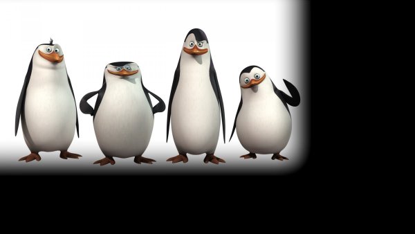 Пингвины из Мадагаскара ТНТ