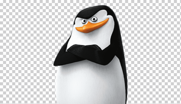 Пингвины из Мадагаскара Шкипер