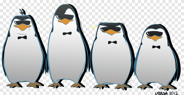 Пингвины Мадагаскара без фона